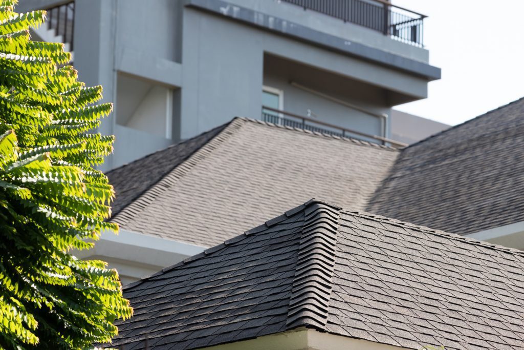 shingles roofing